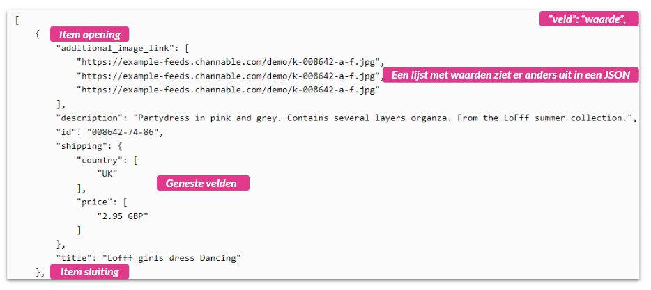 JSON voorbeeld NL.png