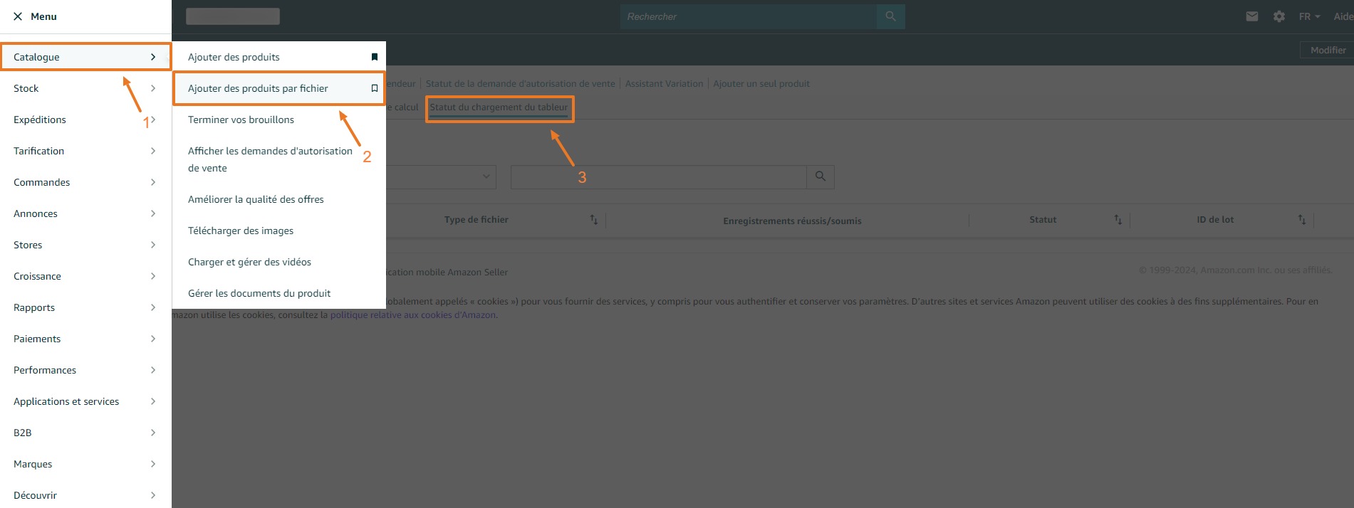 Rapport de traitement Amazon2.jpg