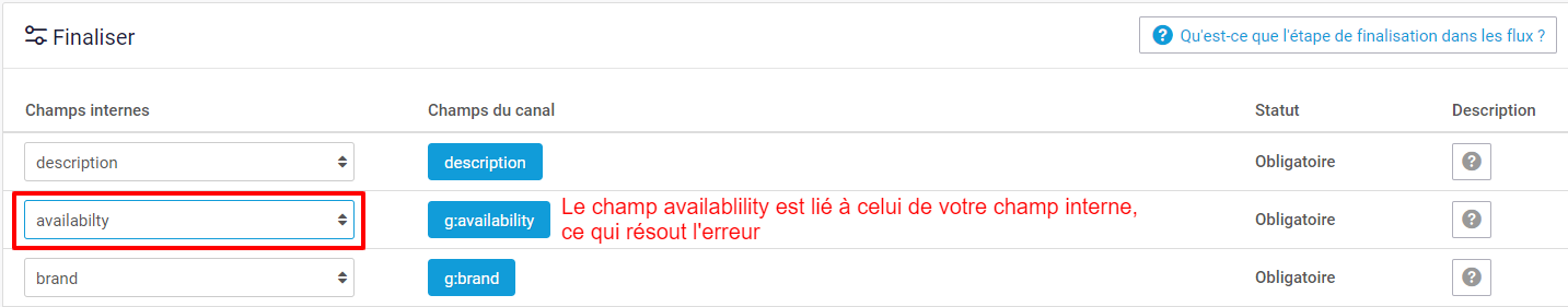 finalize_step_missing_field_FR.png